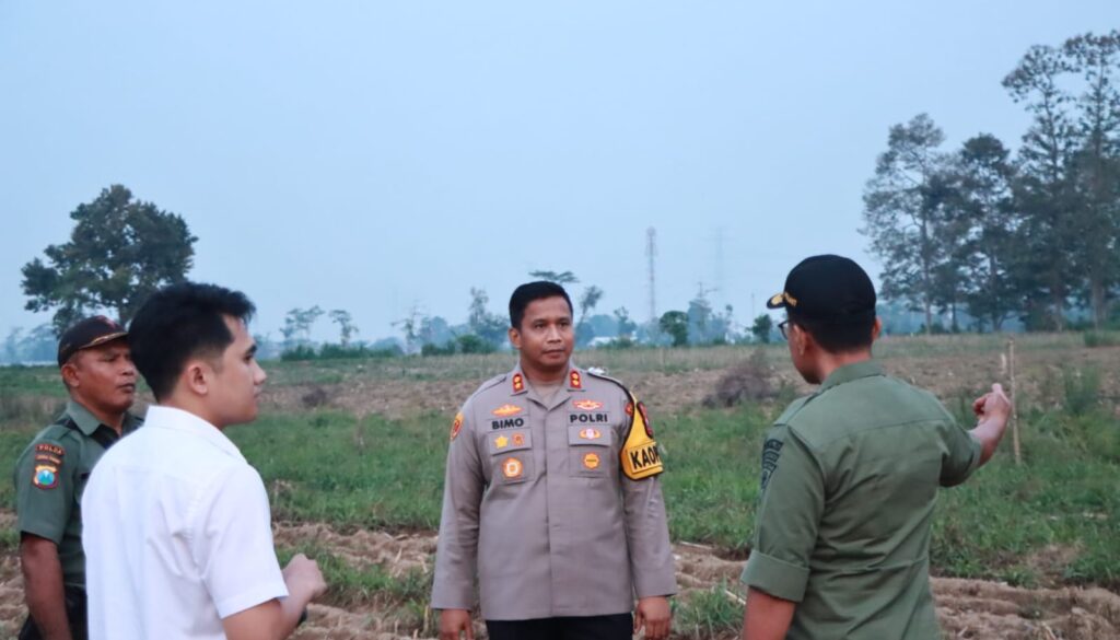 IMG-20241111-WA0117