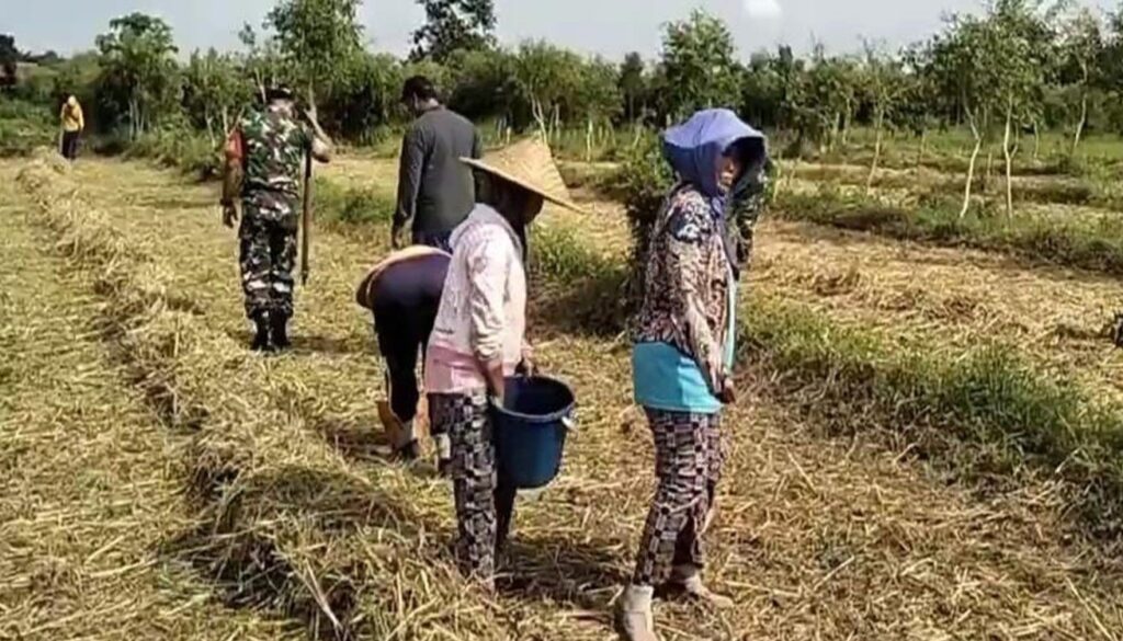 IMG_20241206_202734