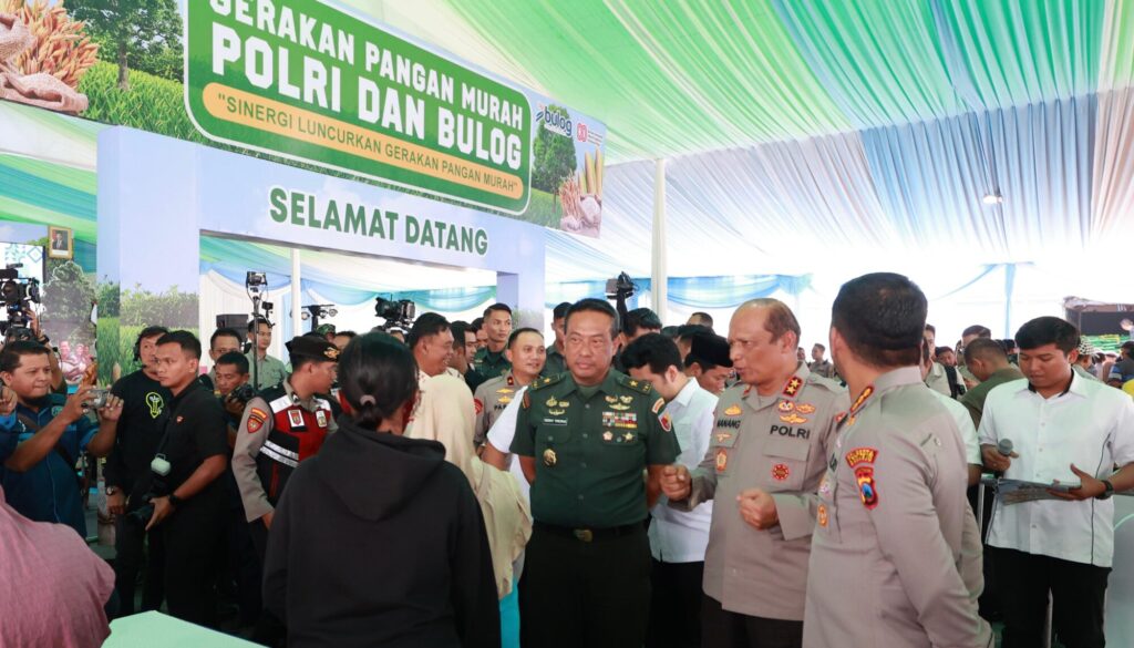 IMG-20250814-WA0218