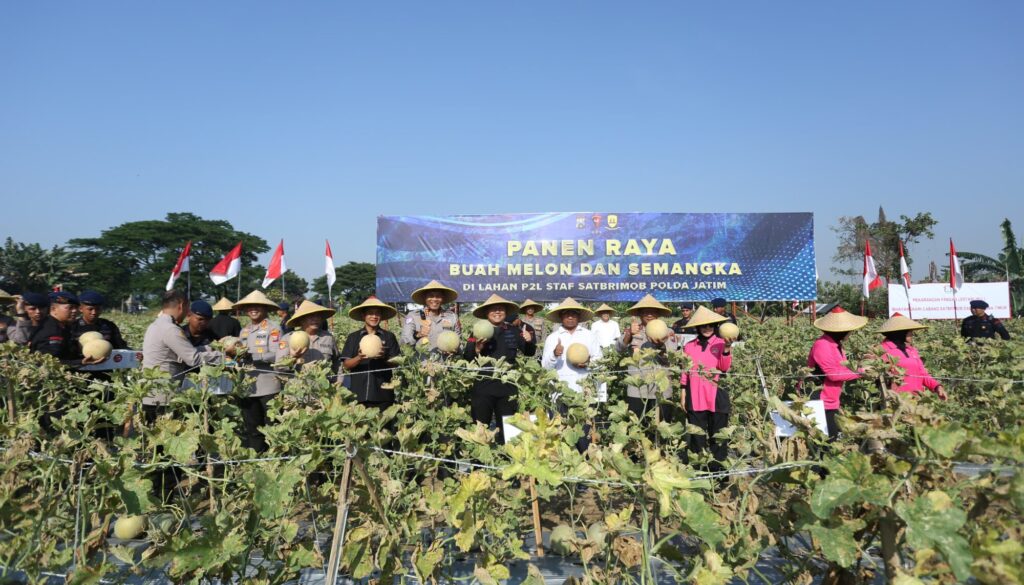 IMG-20250923-WA0109