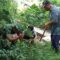 IMG-20251015-WA0057