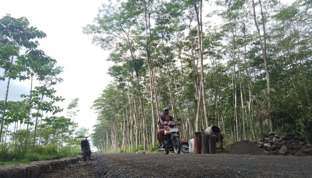 IMG-20260219-WA0093