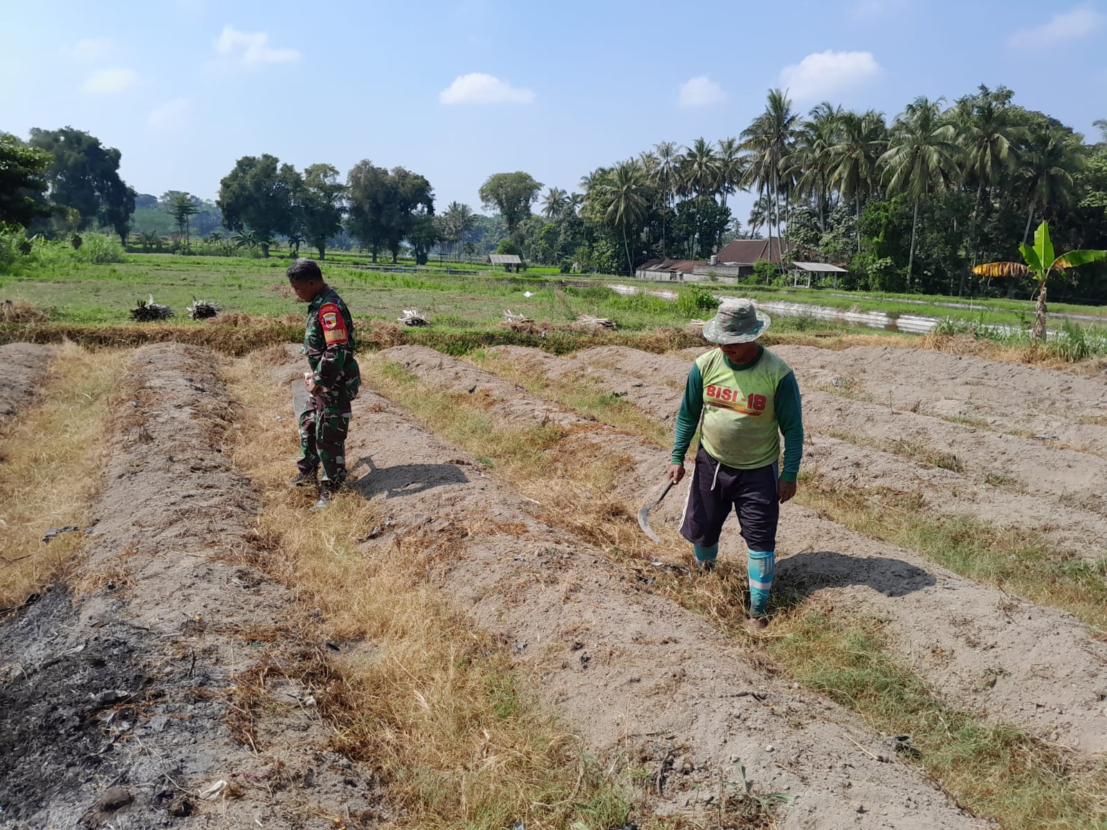 Dukung Ketahanan Pangan, Sertu Harianto Dampingi Petani Penyiapan Lahan Sawah Di Desa Ngoran