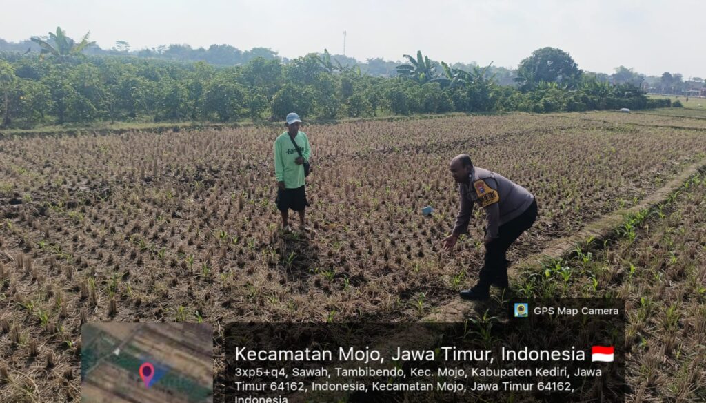 IMG-20260814-WA0114