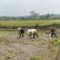 IMG-20260819-WA0061