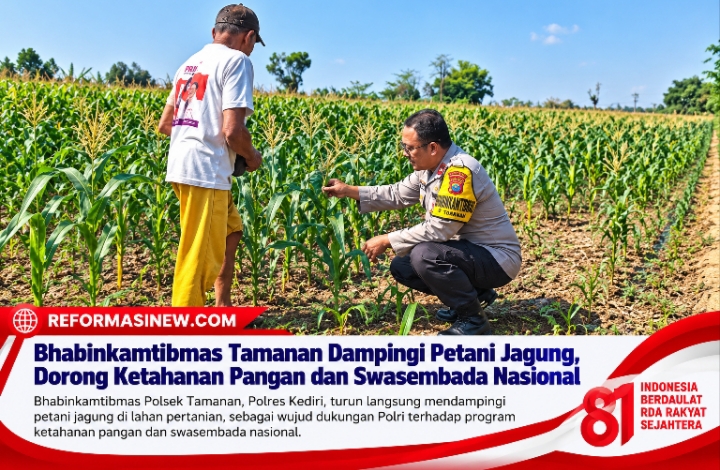 Bhabinkamtibmas Tamanan Dampingi Petani Jagung, Dorong Ketahanan Pangan dan Swasembada Nasional