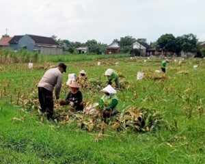 IMG-20260902-WA0092