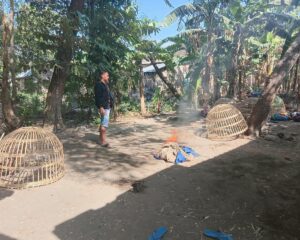 IMG-20260903-WA0017