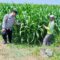 IMG-20260907-WA0036