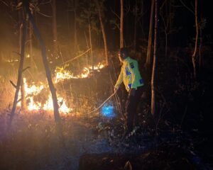 IMG-20260916-WA0016
