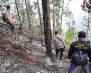 IMG-20260916-WA0020