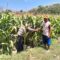 IMG-20260917-WA0123