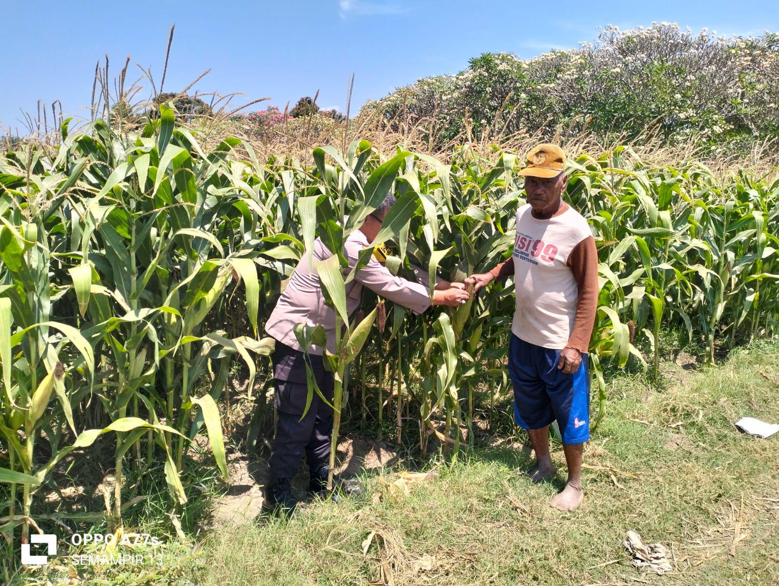 Bhabinkamtibmas Semampir Cek Tanaman Jagung, Dorong Petani Dukung Swasembada Pangan