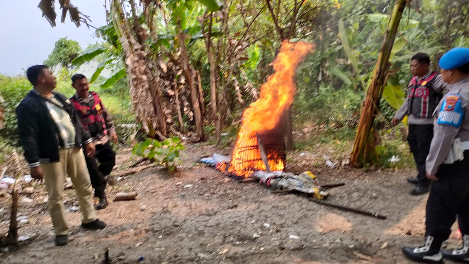 Respon Laporan Warga, Polresta Sidoarjo Bongkar Arena Sabung Ayam di Dua Lokasi