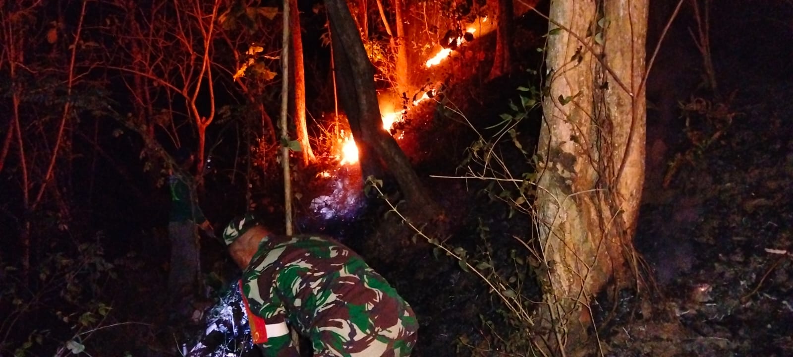 Aksi Sigap Babinsa Dan Warga Padamkan Kebakaran Hutan Jati Di Pagerwojo Blitar