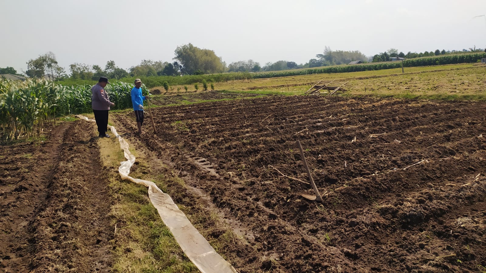 Lahan Tak Harus Luas, Bhabinkamtibmas Polsek Tarokan Dorong Warga Perkuat Ketahanan Pangan