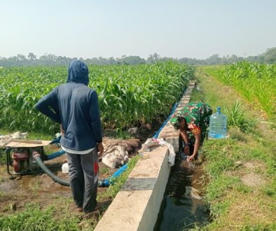 IMG-20261012-WA0029