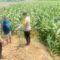 IMG-20261015-WA0025