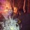 IMG-20261018-WA0072