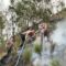 IMG-20261022-WA0060
