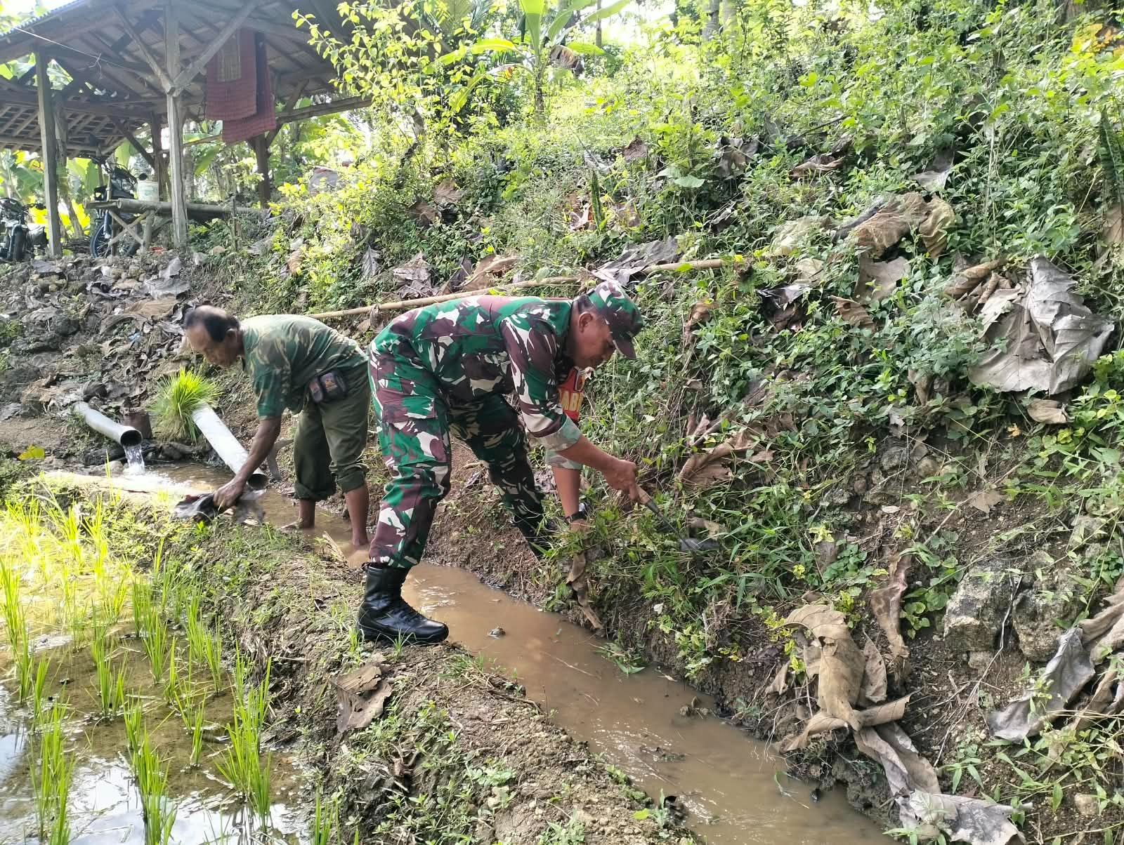 Wujud Kemanunggalan TNI Dan Rakyat, Babinsa Kedungbanteng Bersama Warga Gotong Royong Bersihkan Irigasi Sawah